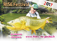 Affiche du Rise Festival France 2017