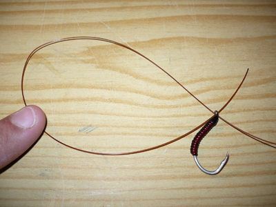 Photo d'un nœud d'attache pour la mouche